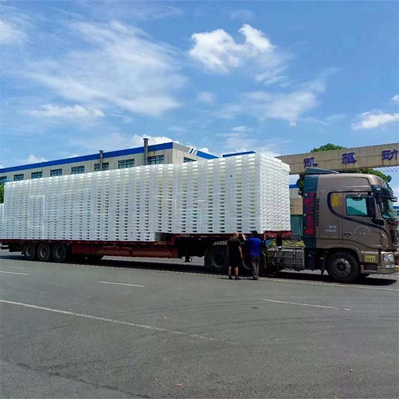 和县黄埔区物流：多元服务与高效运输线路探秘